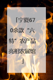 宁夏670余款“六特”农产品亮相农展馆